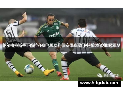 帕尔梅拉斯签下前拉齐奥飞翼费利佩安德森豪门补强边路剑指冠军梦